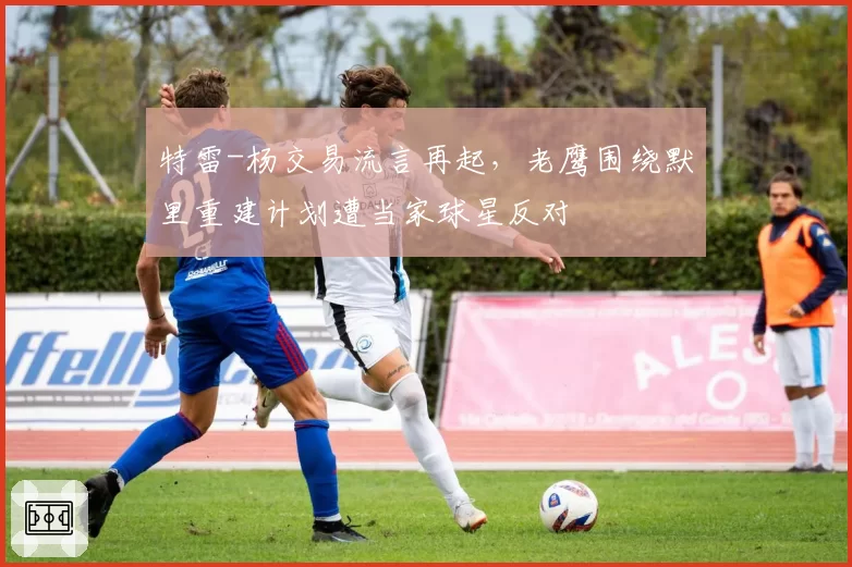 特雷-杨交易流言再起，老鹰围绕默里重建计划遭当家球星反对