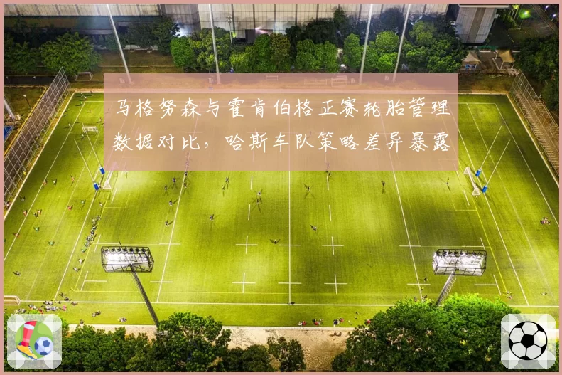 马格努森与霍肯伯格正赛轮胎管理数据对比,哈斯车队策略差异暴露致命短板