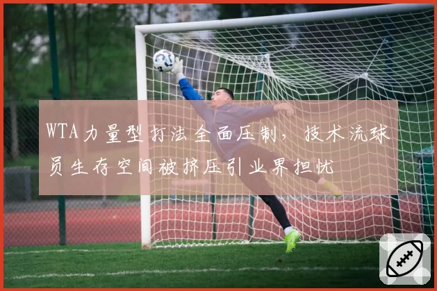 WTA力量型打法全面压制，技术流球员生存空间被挤压引业界担忧