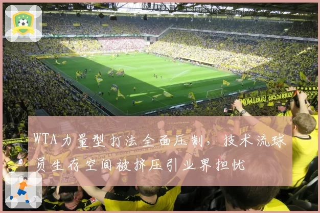 WTA力量型打法全面压制，技术流球员生存空间被挤压引业界担忧