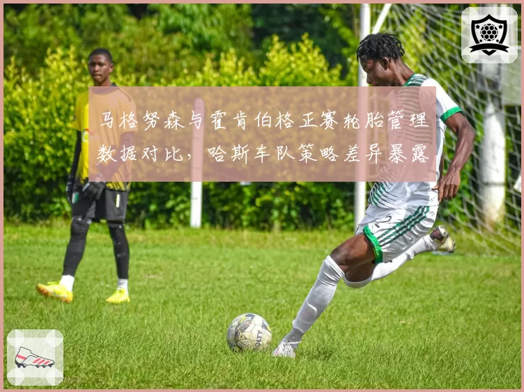 马格努森与霍肯伯格正赛轮胎管理数据对比,哈斯车队策略差异暴露致命短板