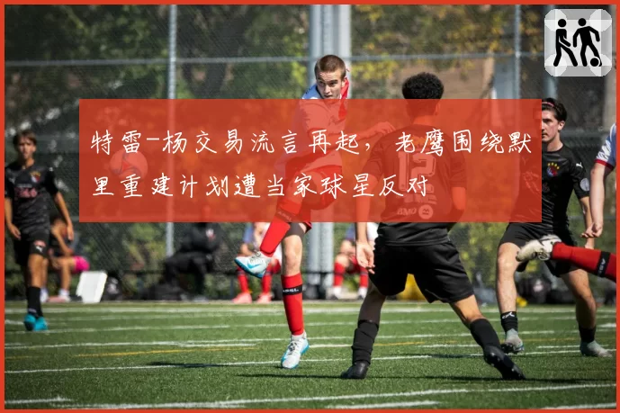 特雷-杨交易流言再起，老鹰围绕默里重建计划遭当家球星反对